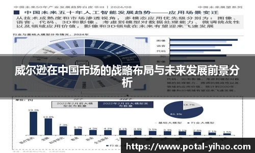 威尔逊在中国市场的战略布局与未来发展前景分析