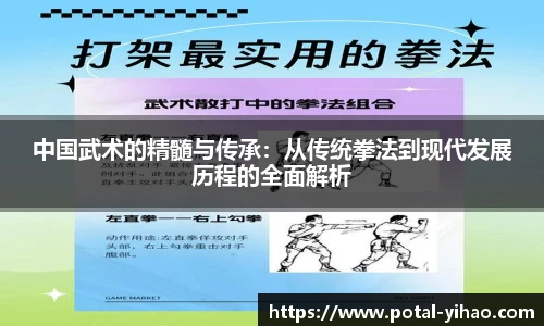 中国武术的精髓与传承：从传统拳法到现代发展历程的全面解析