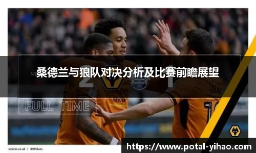 桑德兰与狼队对决分析及比赛前瞻展望